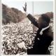 Martin Luther King - pastore battista